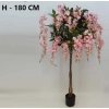 WISTERIA W DONICZCE 180CM